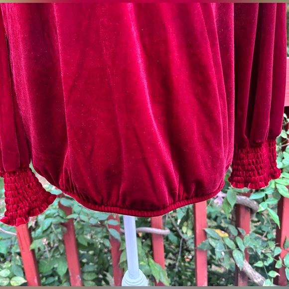 Wonderly Women's Velvet Velour Top
Long Sleeves Festive Large - Picture 4 of 5